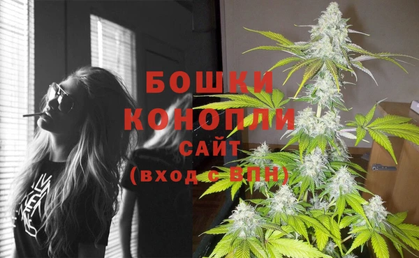 mix Бородино