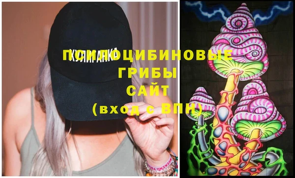 амф Бугульма