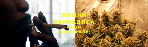прущие крисы Бронницы